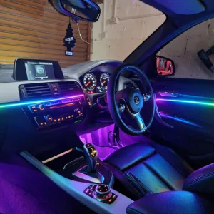 1 Series (F20)